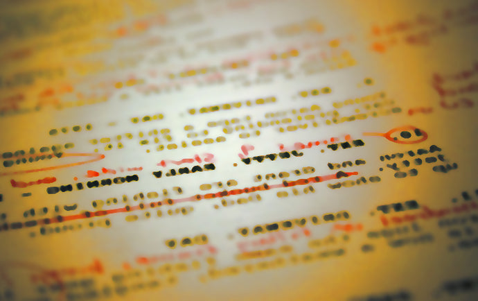 Como formatar a estrutura de um roteiro para cinema?